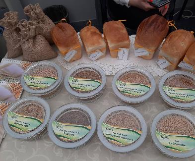 Import-Substituting Durum Wheat for Pasta Developed in Omsk